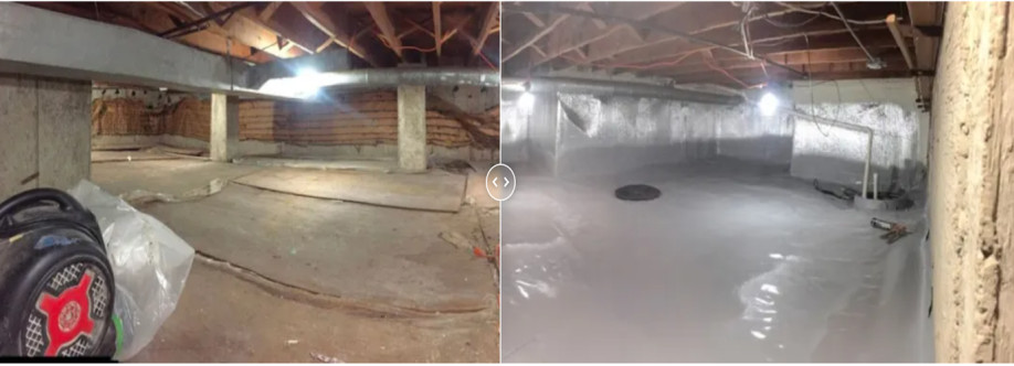 Crawl Spaces Cover Image