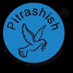 Pitrashish Pitrashish Profile Picture