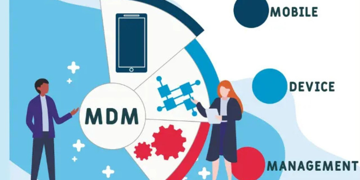 Skylimit Holding LLC: Driving Innovation in Project Management and IT Consulting